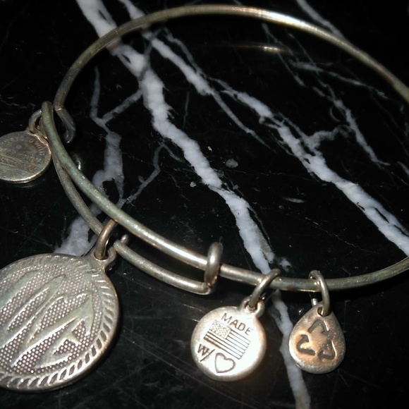 Alex and Ani Love Charm Rafaelian Silver Bangle Br - Picture 3 of 5